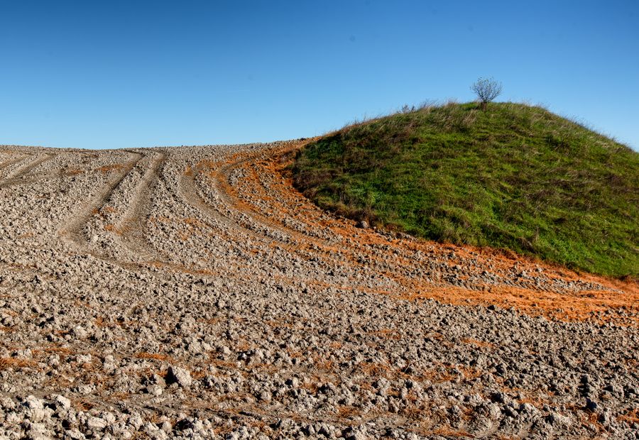 Grass-covered septic mound rising above the natural grade of a rural yard