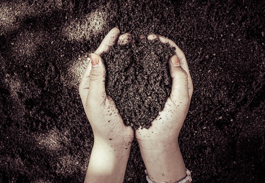 Two hands cupping dark crumbly soil pulled from a test pit